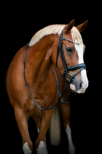 HorseGuard EMI 25.2 Kombineret Trense m. Tilbagetræk
