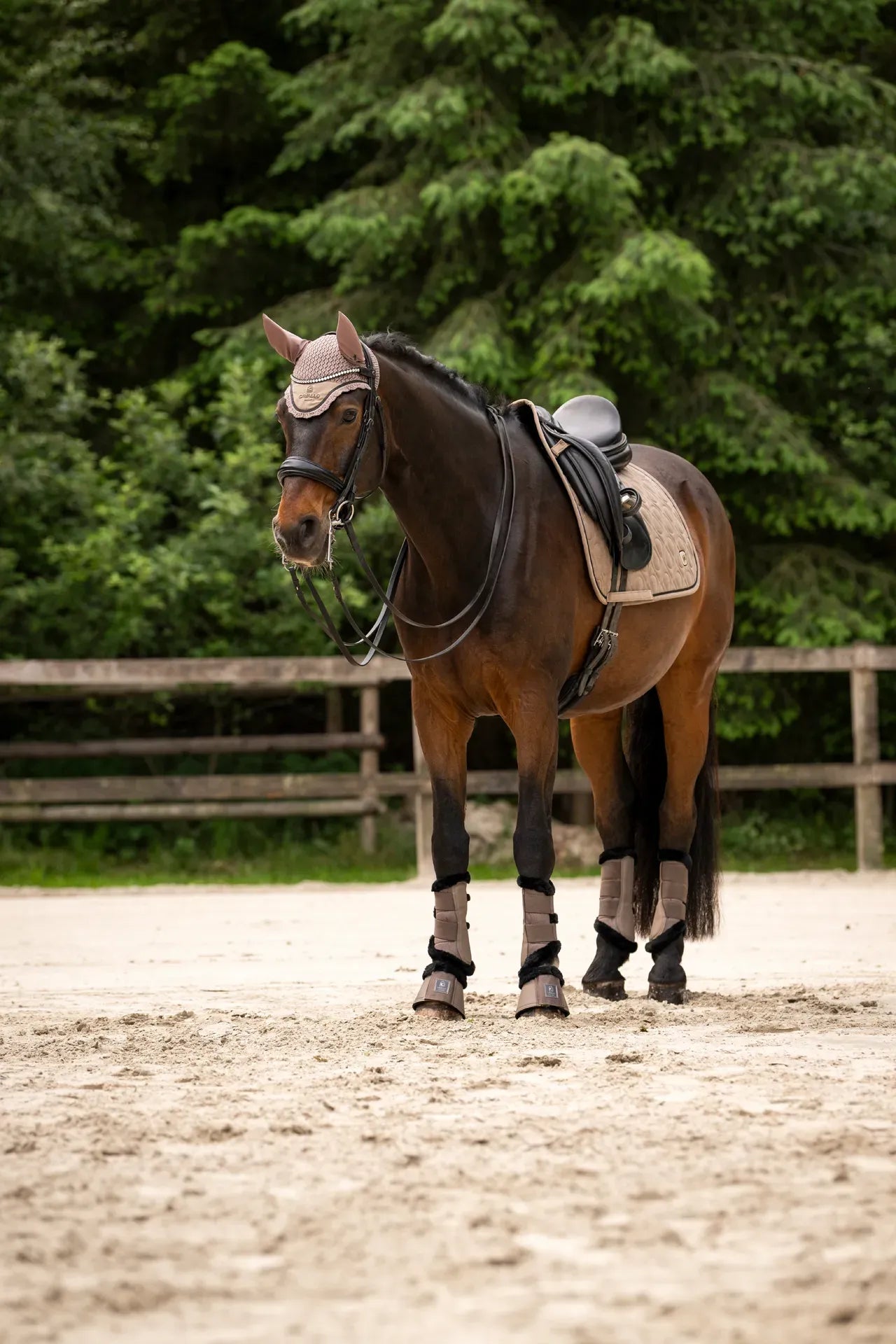 Cavallo Cavalpolly Saddle Pad