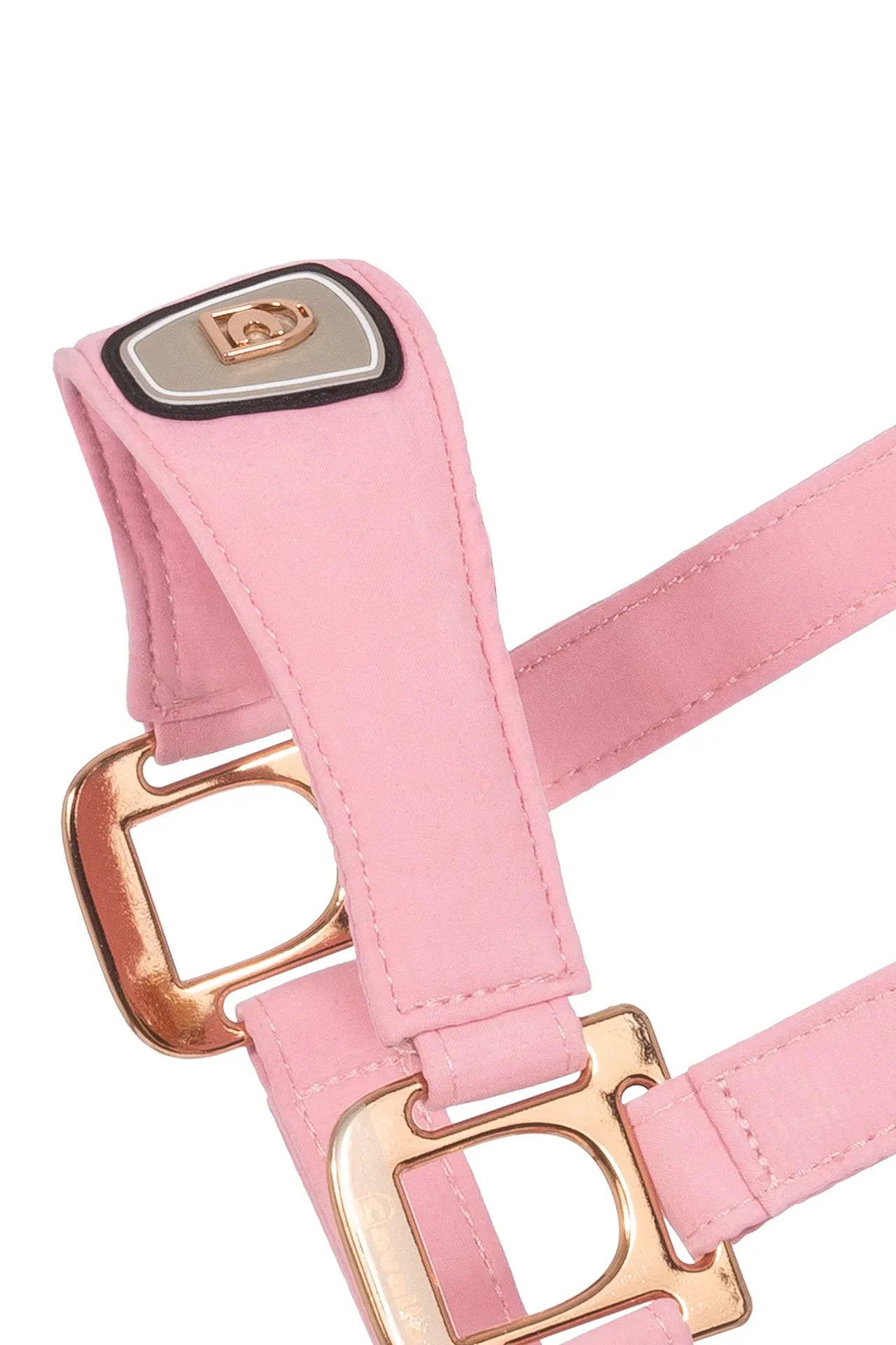 Cavallo Cavalpawel Halter