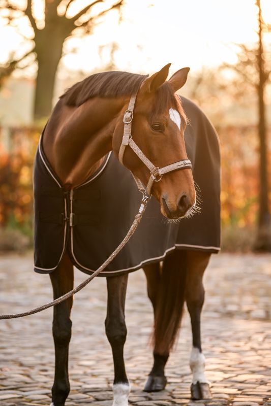 Cavallo CavalRose Halter
