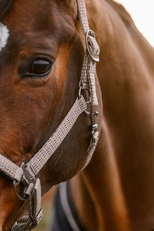 Cavallo CavalRose Halter