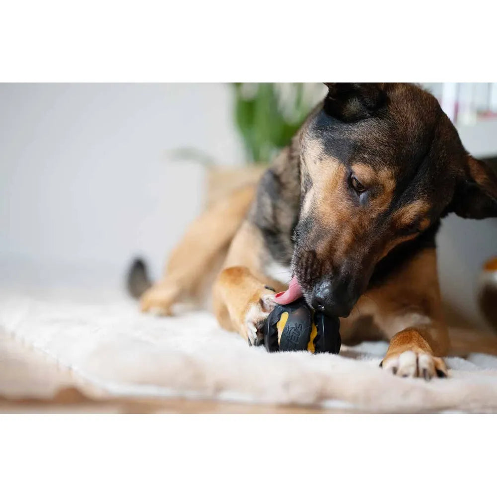 Zeus Chew Chasers Ball