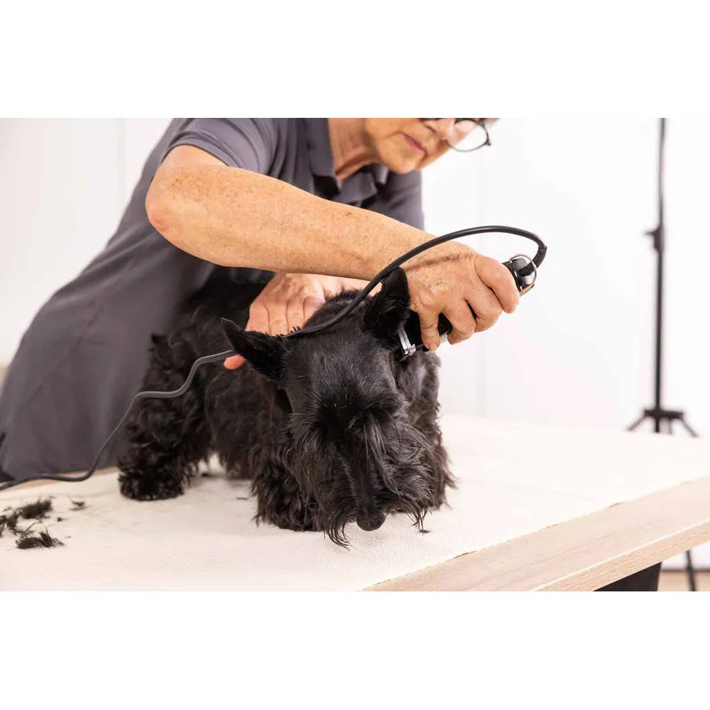 Wahl Rex Hundeklipper