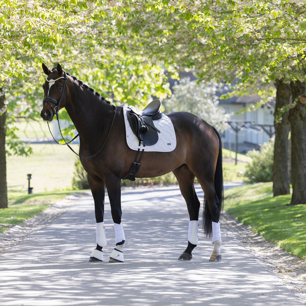 Kingsland KLLexie Dressage Saddle Pad