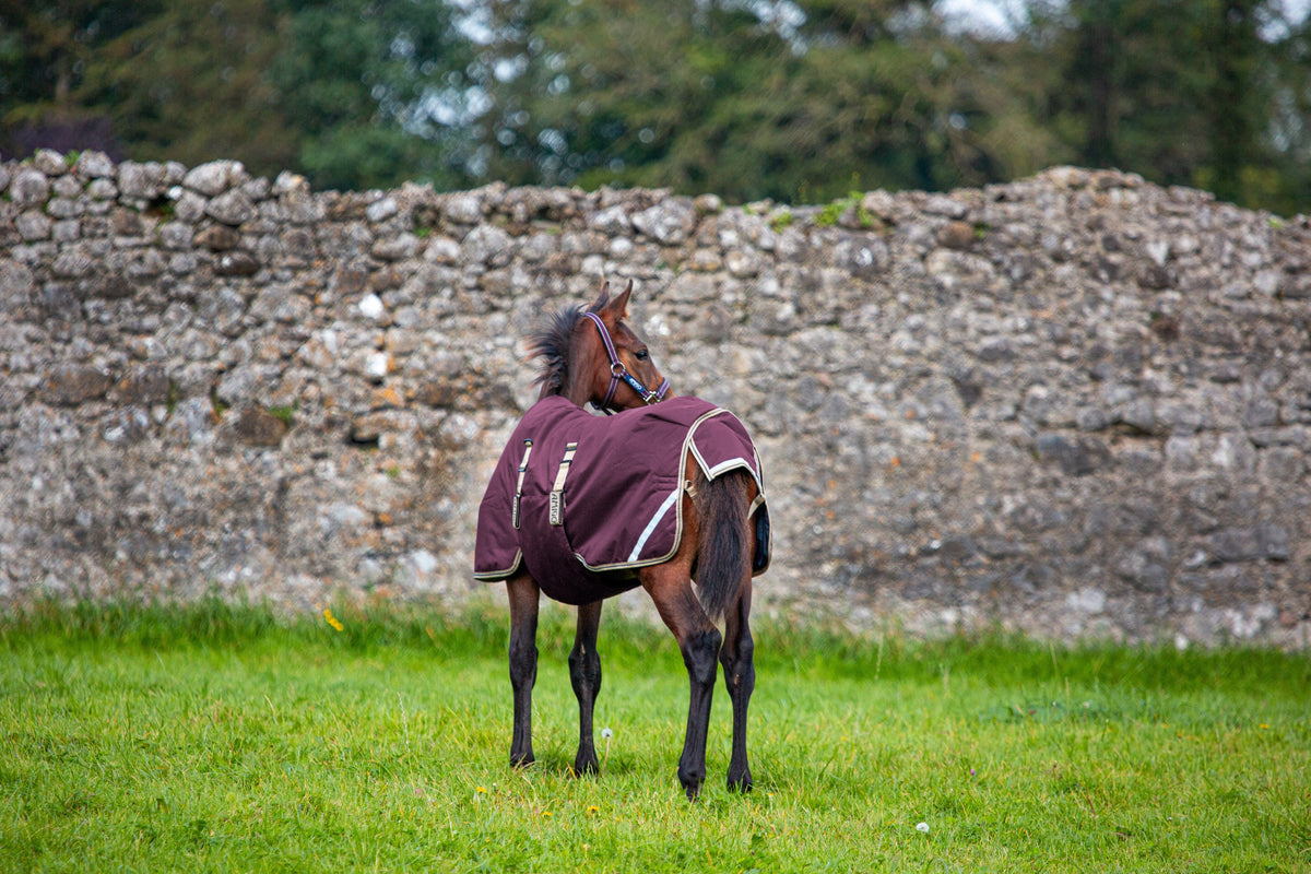 Horseware Amigo Føldækken, 200 g. - OUTLET