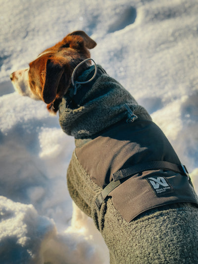 Non-Stop Dogwear Wool Dog Jacket