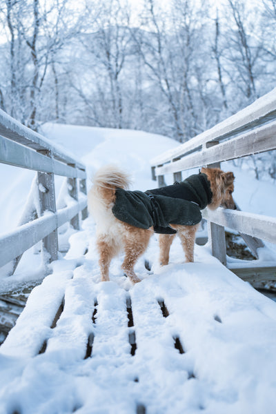 Non-Stop Dogwear Wool Dog Jacket