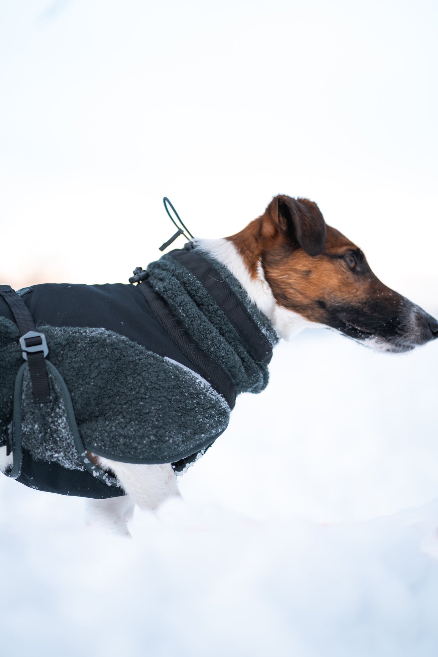 Non-Stop Dogwear Wool Dog Jacket