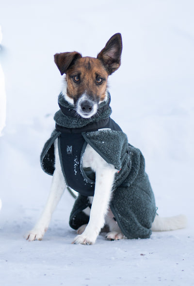 Non-Stop Dogwear Wool Dog Jacket