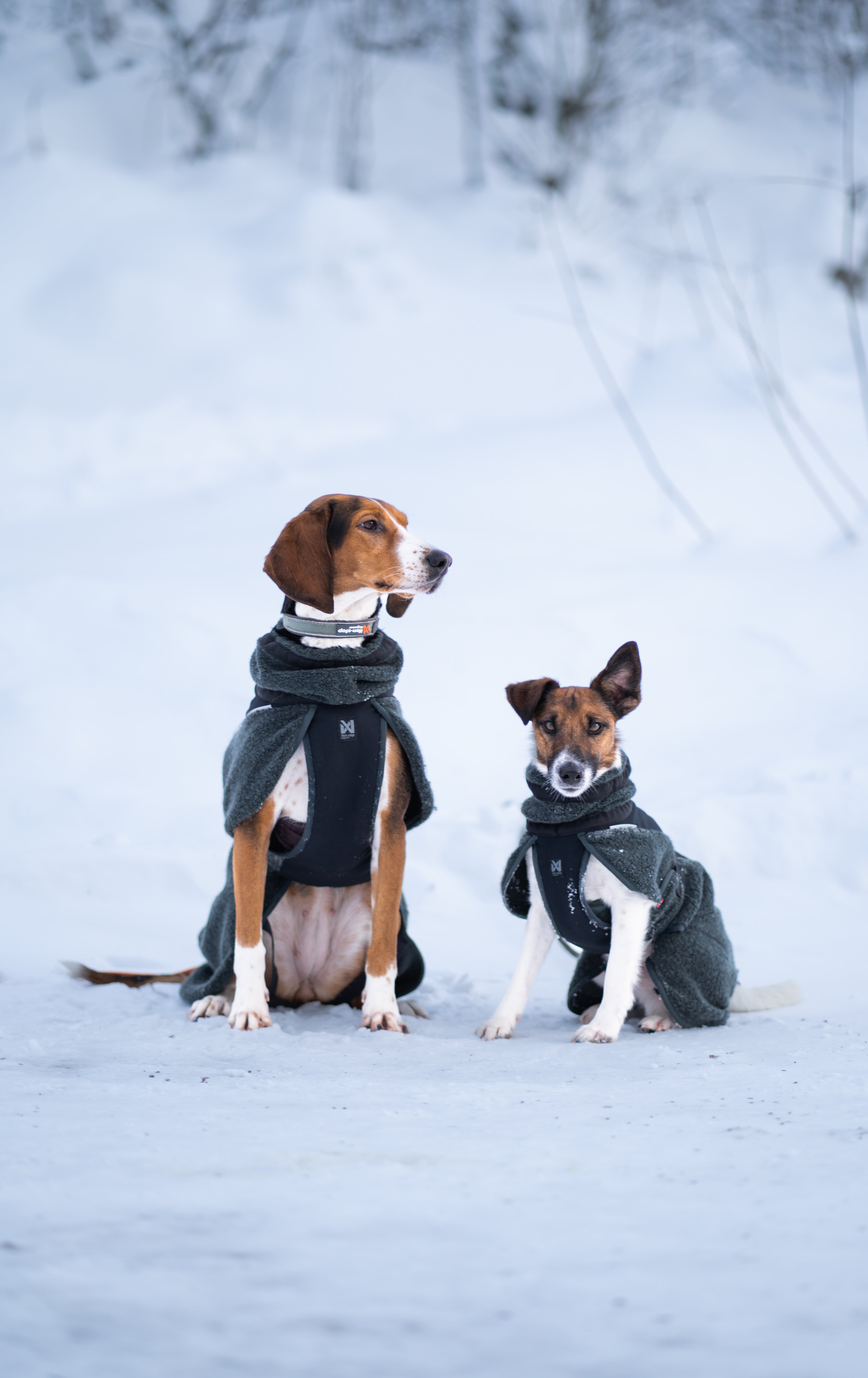 Non-Stop Dogwear Wool Dog Jacket