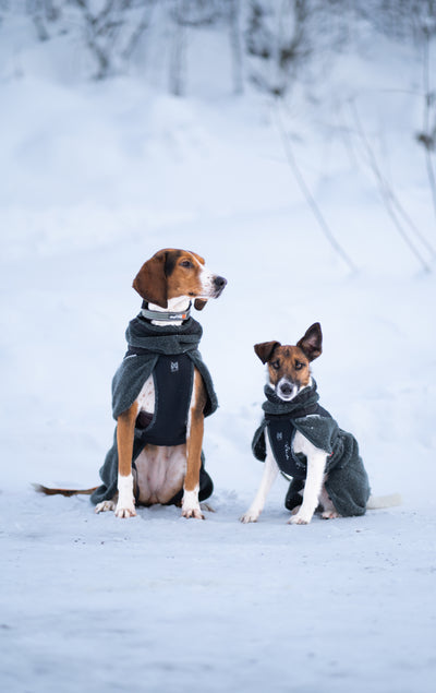 Non-Stop Dogwear Wool Dog Jacket