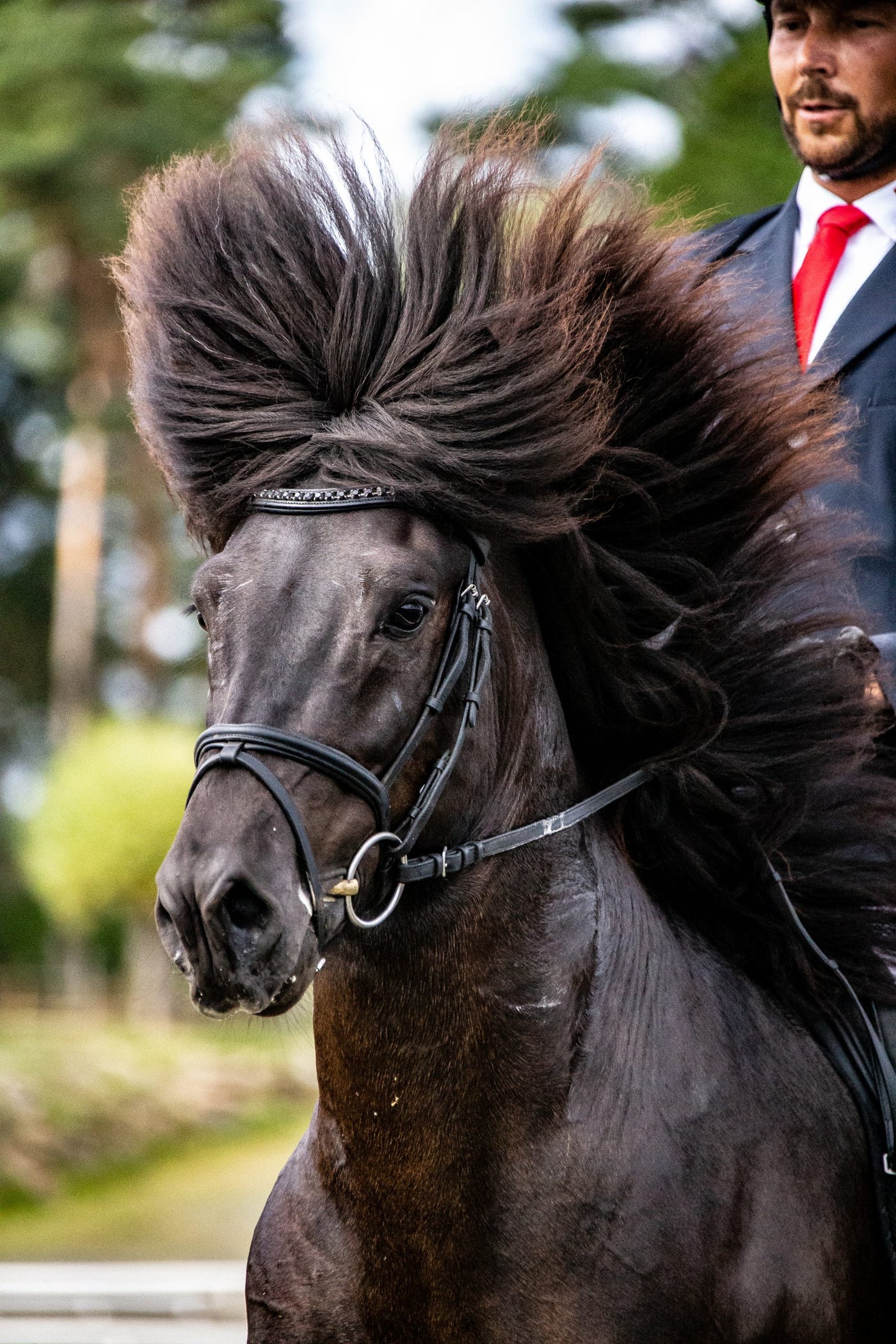 EQUES StepByStep Wave Pandebånd