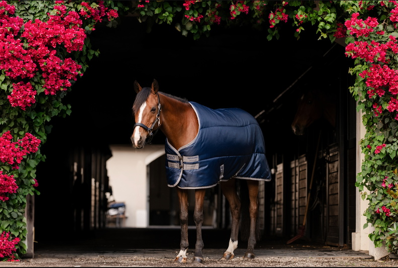 Horseware Amigo Ripstop Insulator Plus Pony Stable 200 g.