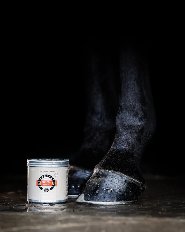 Carr & Day & Martin Daily Hoof Balm Clear (Natur)