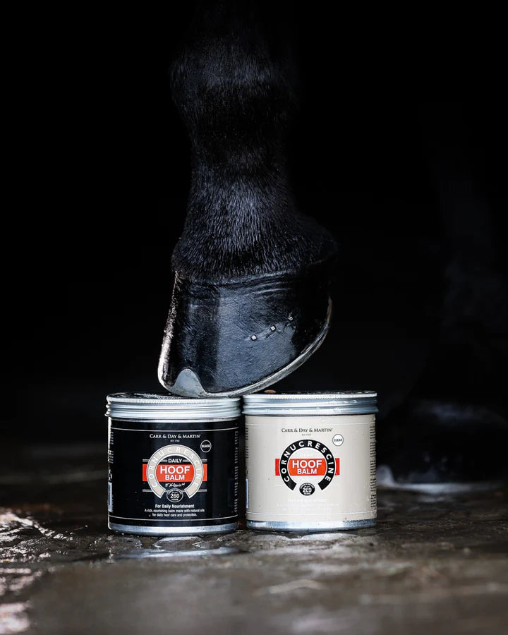 Carr & Day & Martin Daily Hoof Balm Clear (Natur)