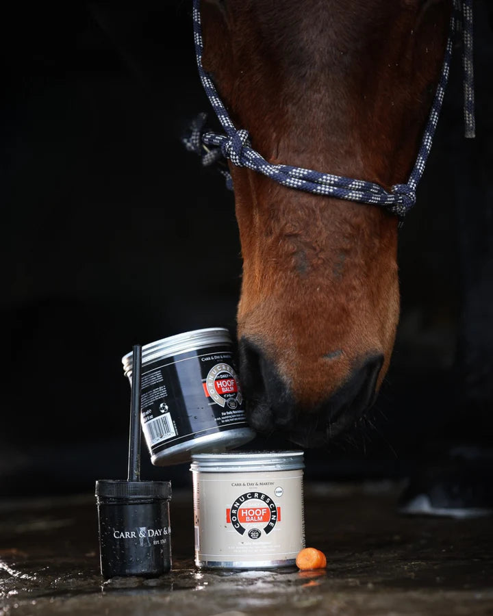 Carr & Day & Martin Daily Hoof Balm Clear (Natur)