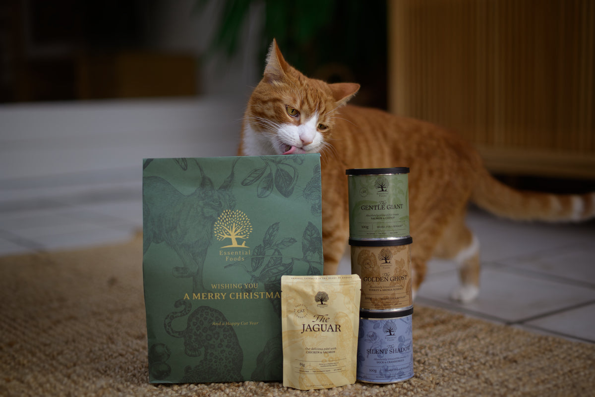 Essential Foods Christmas Present For Cat Limited Edition