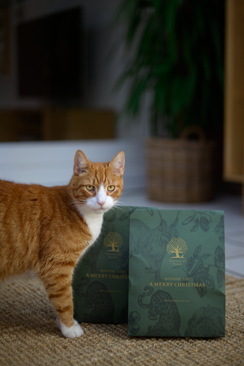 Essential Foods Christmas Present For Cat Limited Edition