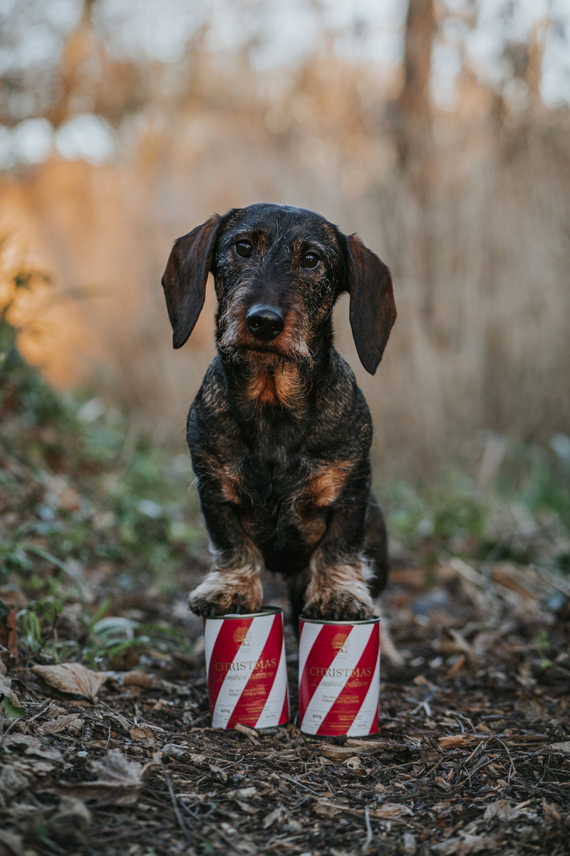 Essential Foods Christmas Dog Paté Limited Edition