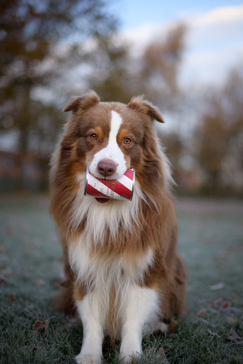 Essential Foods Christmas Dog Paté Limited Edition