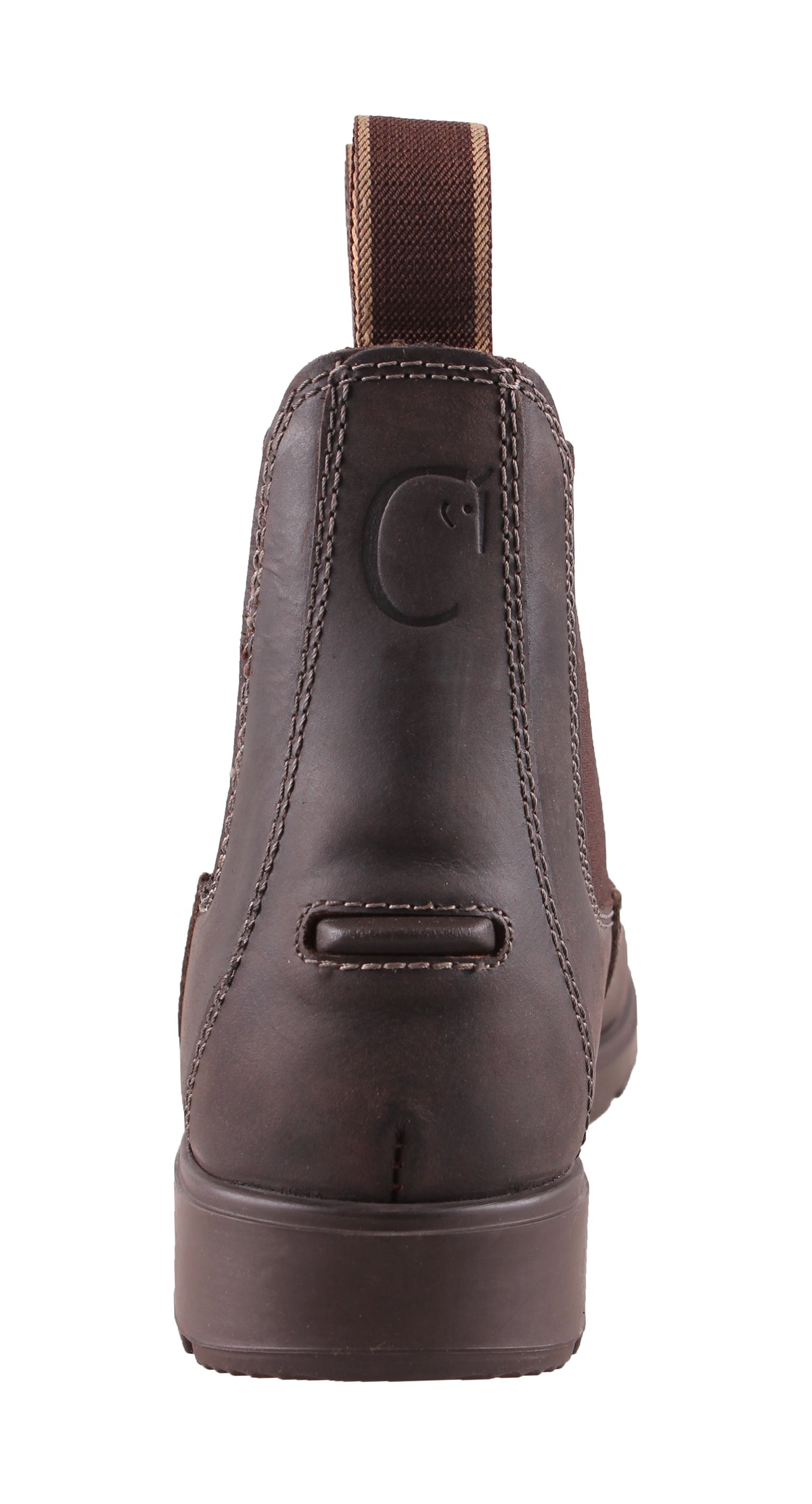 Campus Cambridge Jodhpur - OUTLET