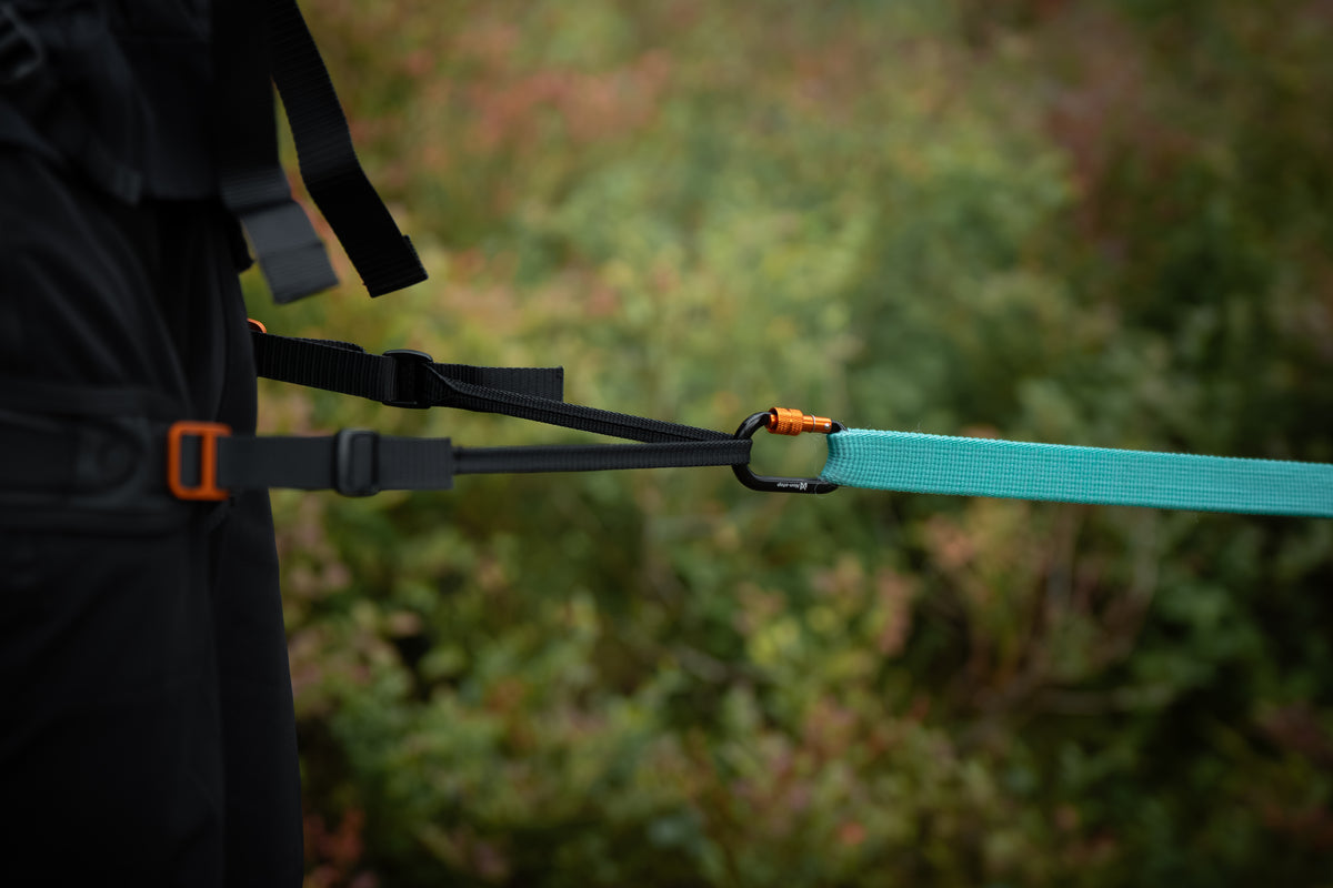 Non-Stop Dogwear Canix Belt 3.0