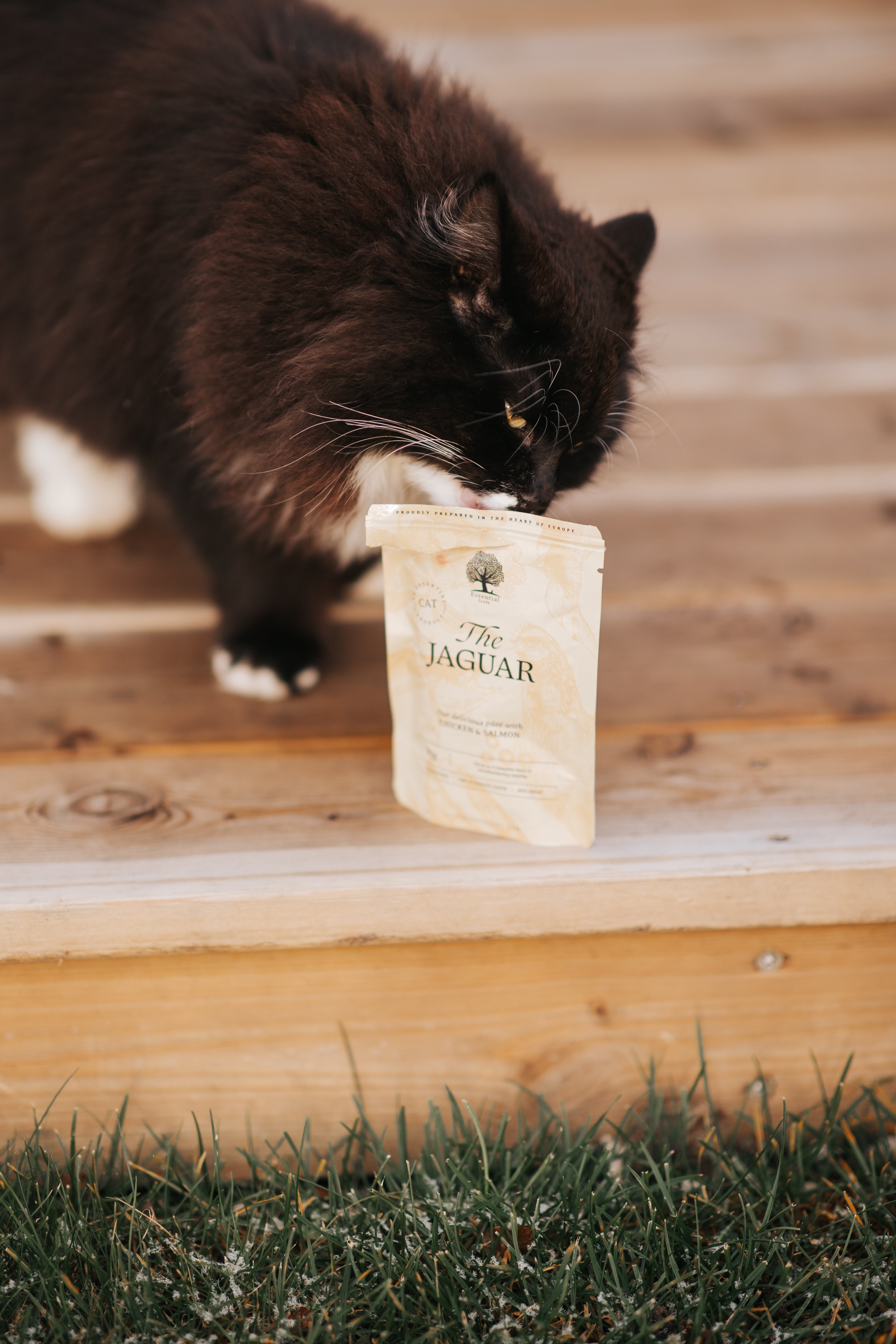Essential Foods The Jaguar Paté