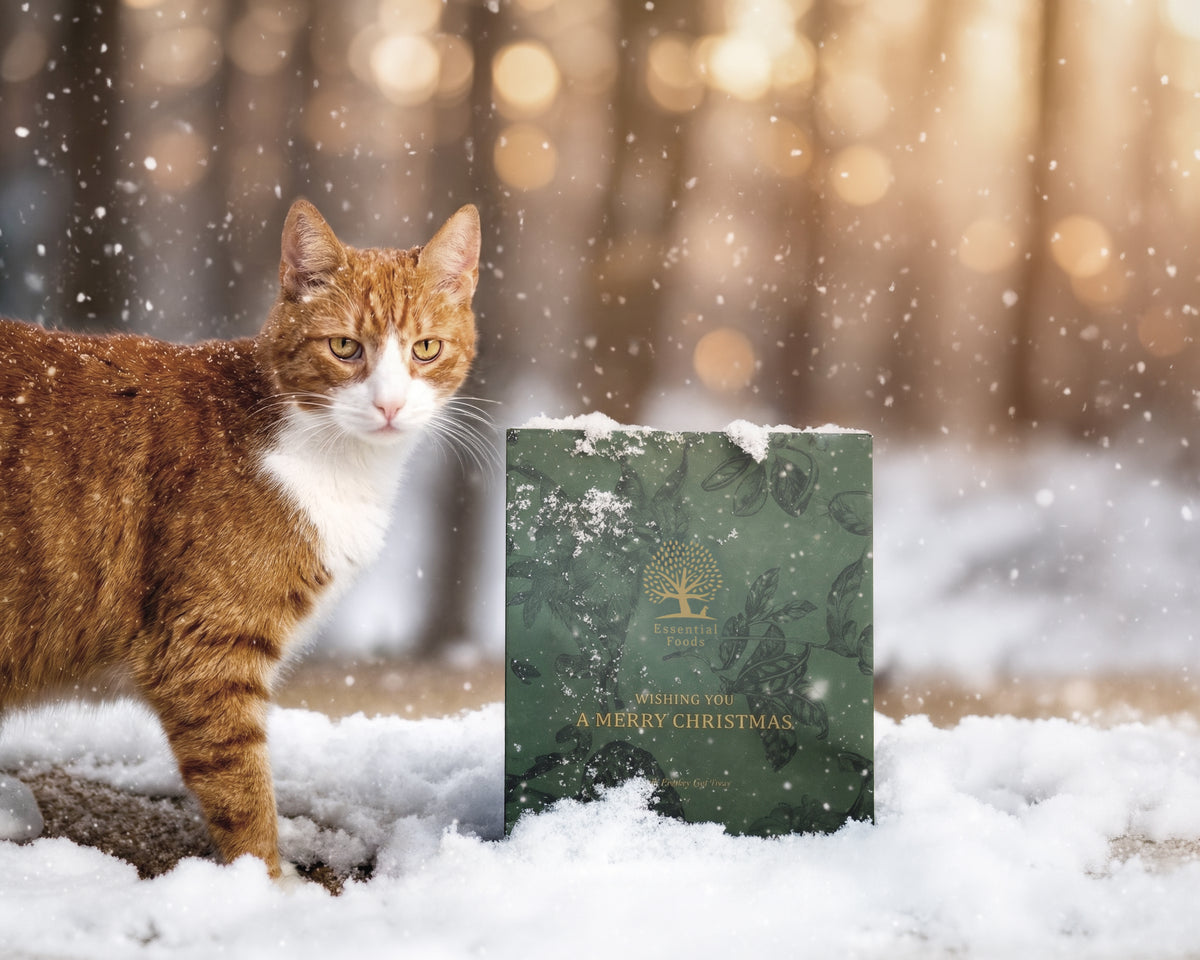 Essential Foods Christmas Present For Cat Limited Edition