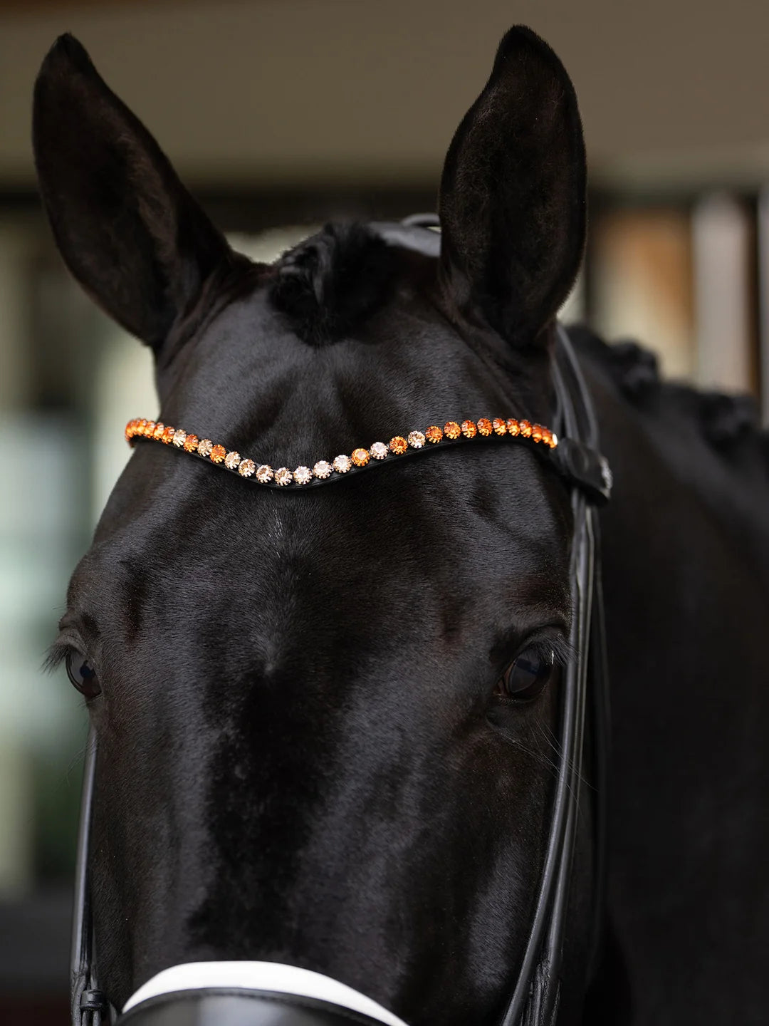 Equestrian Stockholm Browband Faded 8 mm