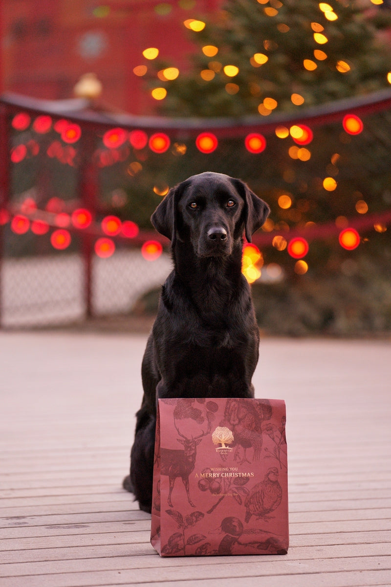 Essential Foods Christmas Present For Dog Limited Edition