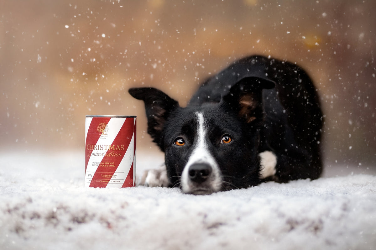 Essential Foods Christmas Dog Paté Limited Edition