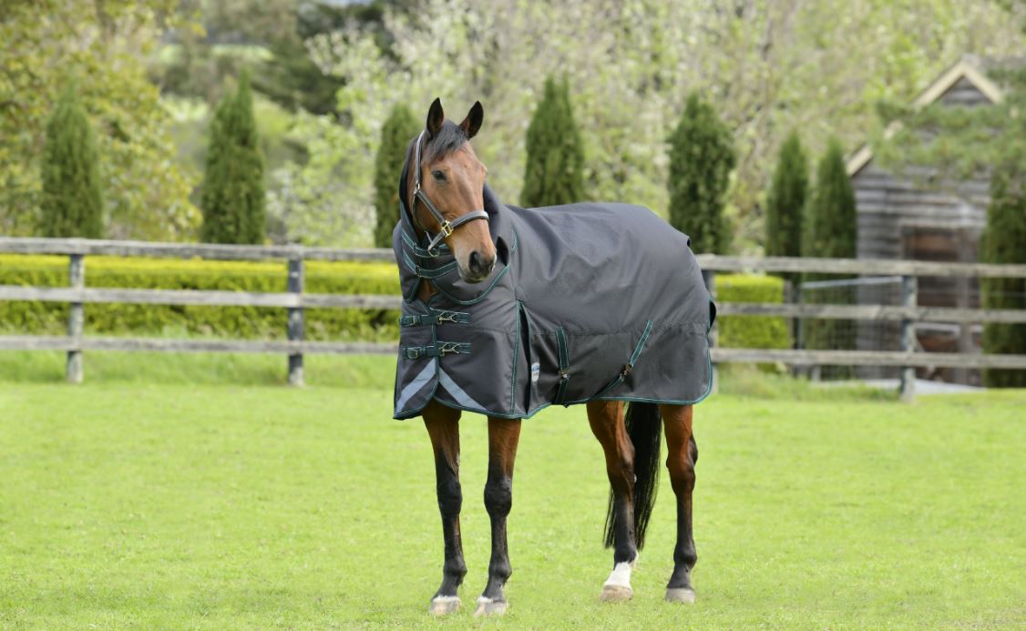 Weatherbeeta Comfitec Plus Dynamic II Detach-A-Neck Medium - OUTLET