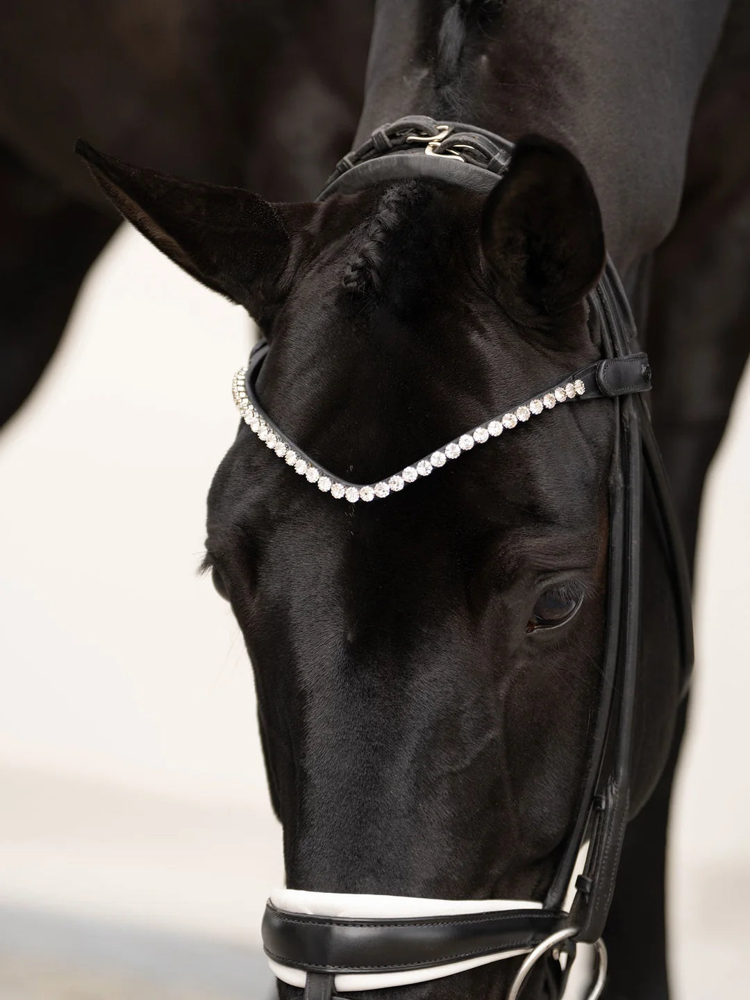 Equestrian Stockholm Browband Faded 8 mm