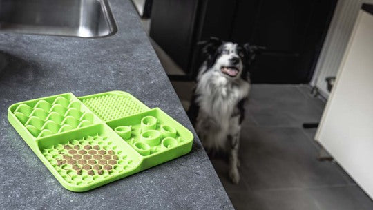 Eat Slow Live Longer Lick Mat Rectangle