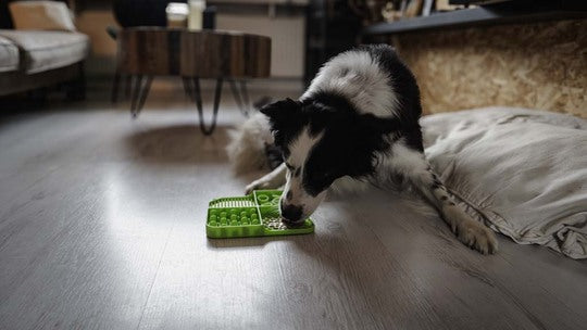 Eat Slow Live Longer Lick Mat Rectangle