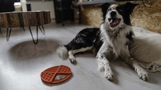 Eat Slow Live Longer Lick Mat Circle