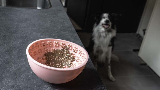 Eat Slow Live Longer Lick Mat Wobble Bowl