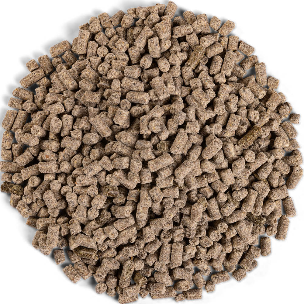 Equilannoo Muscle Plus - Bestillingsvare