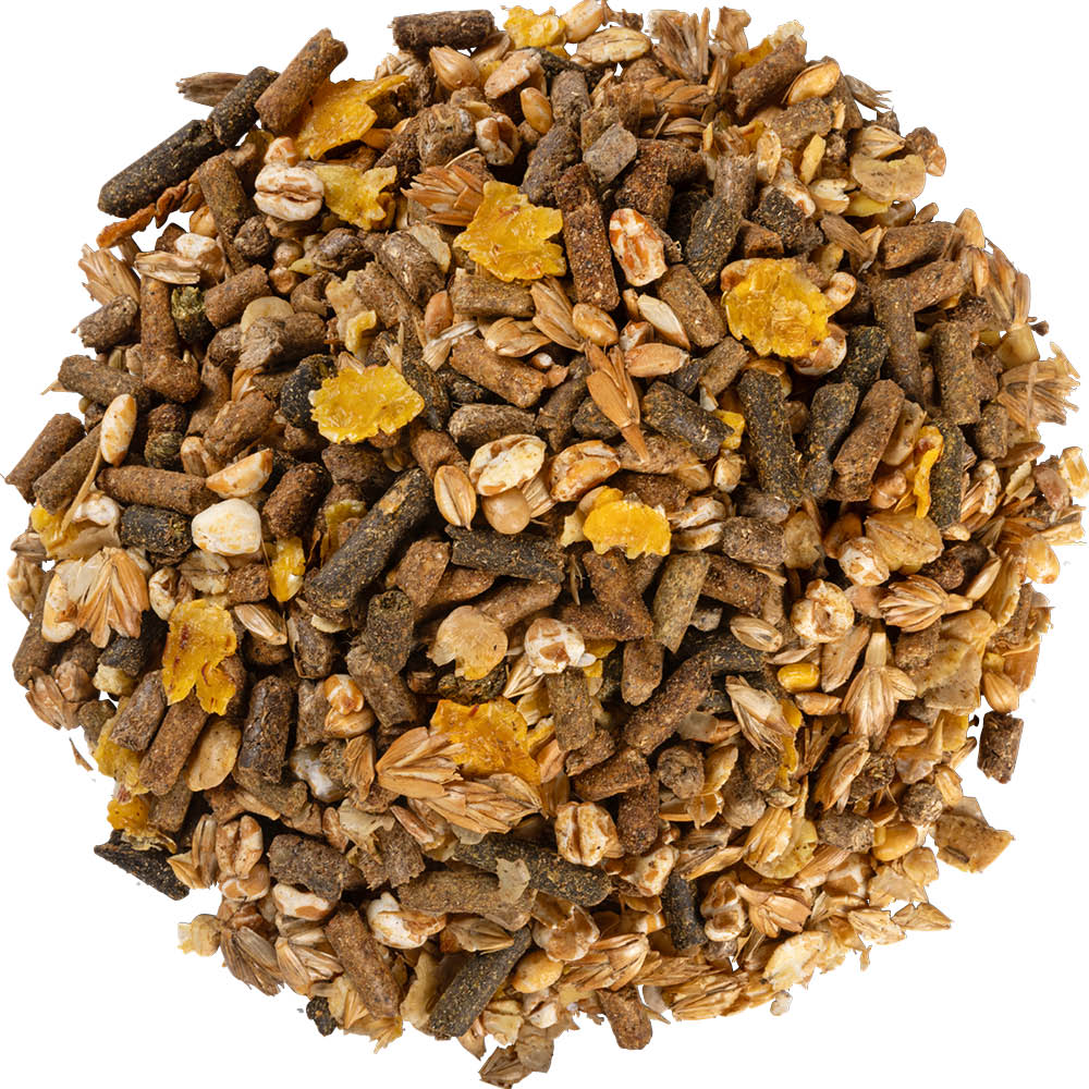 Equilannoo Endurance Mix
