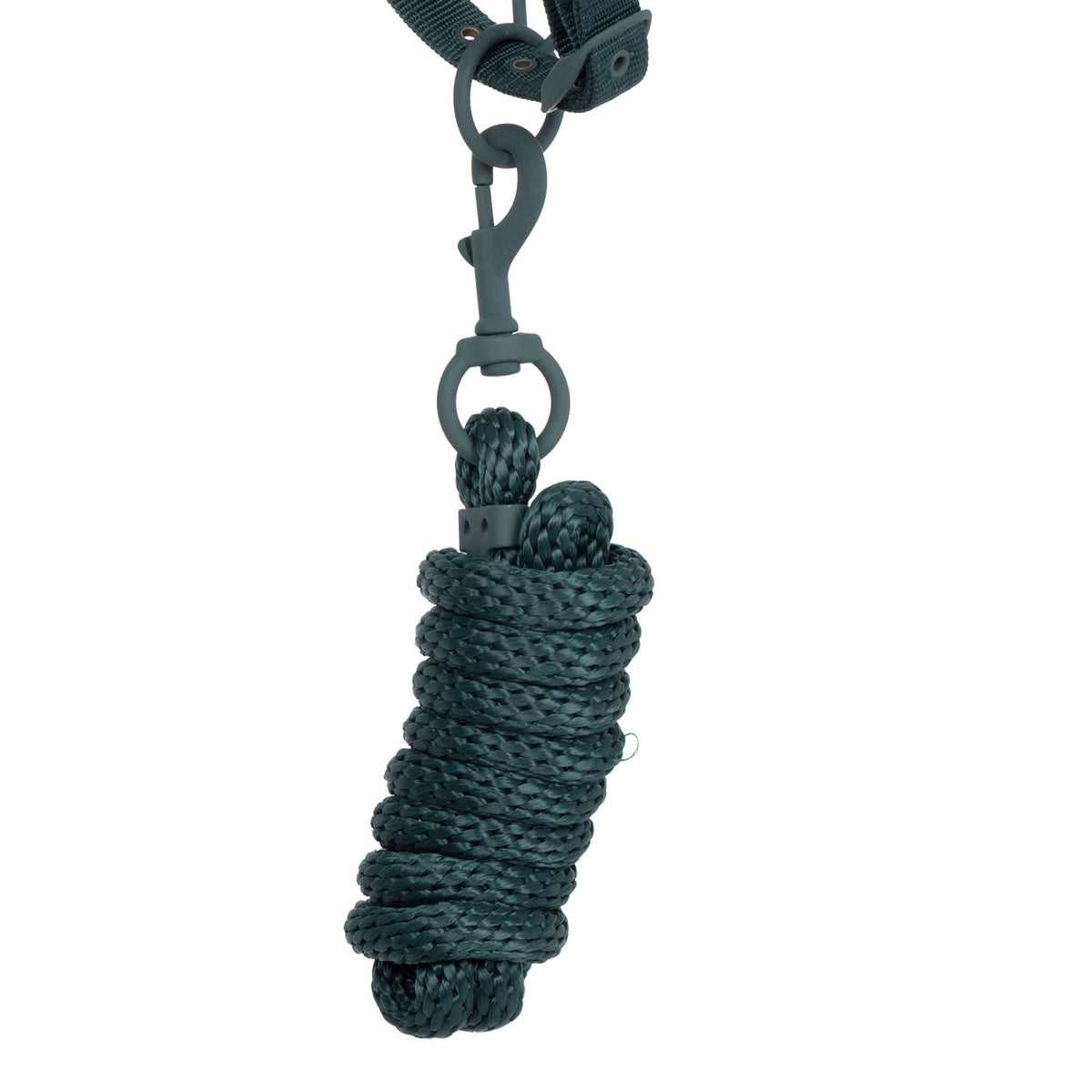 Equestro Technical Halter With Double Adjustment And Rubber-Coated Buckles