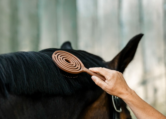 Horseware Mane & Tail Brush