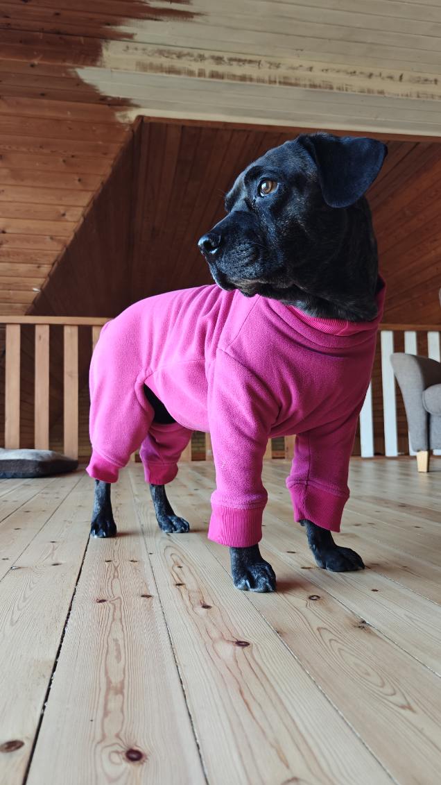 Euro Dog Designs Ohio Fleece Suit
