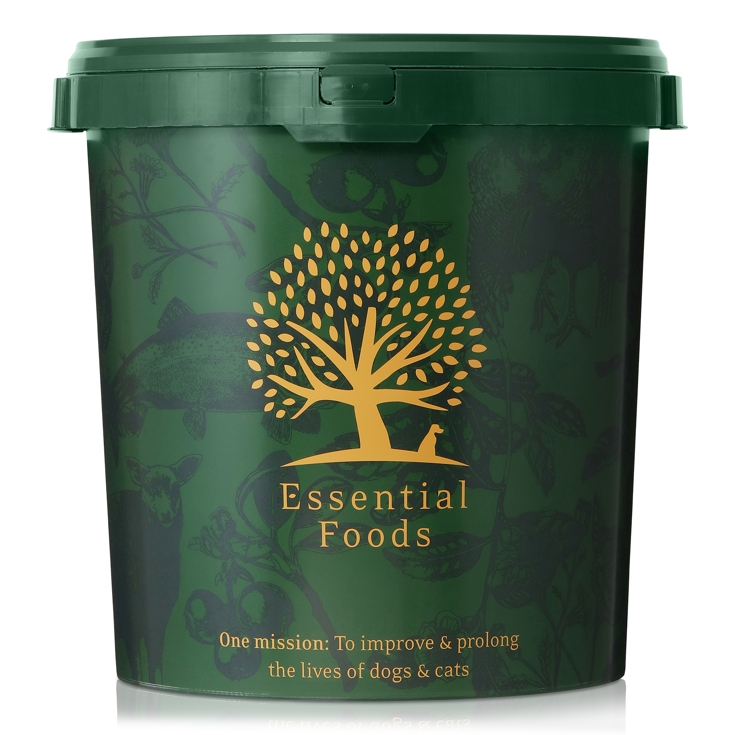 Essential Foods The Food Box