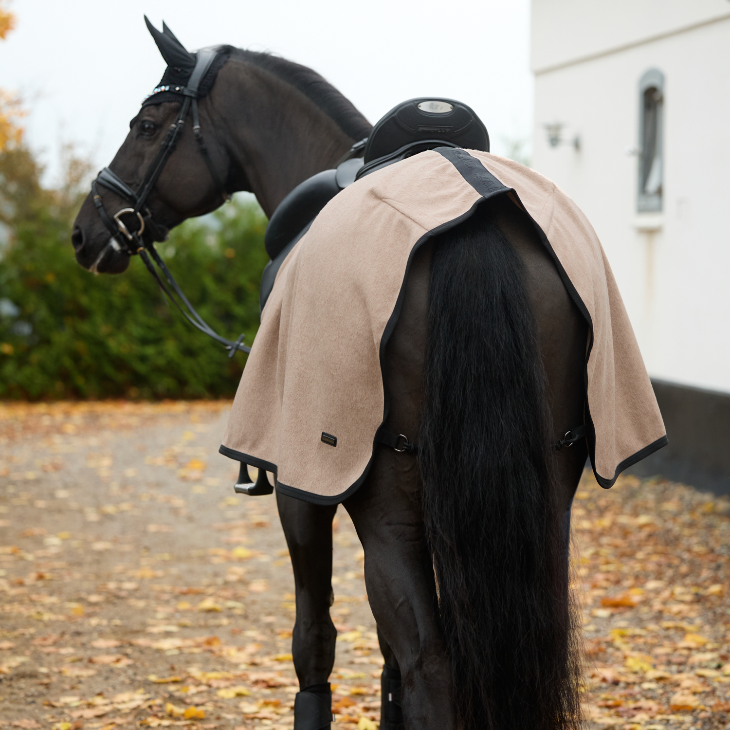 Kingsland KLAudrey Woolmix Exercise Rug