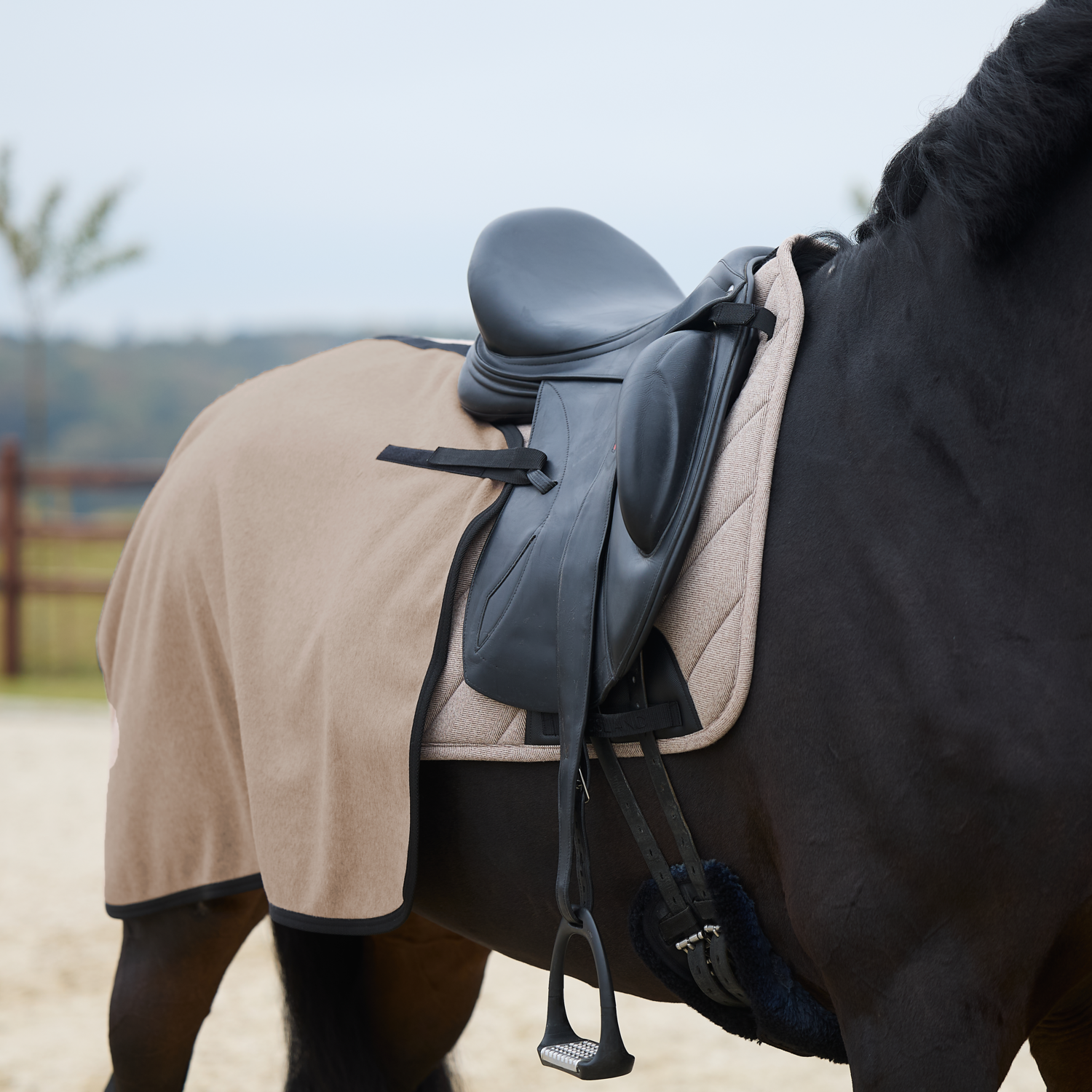 Kingsland KLAudrey Woolmix Exercise Rug