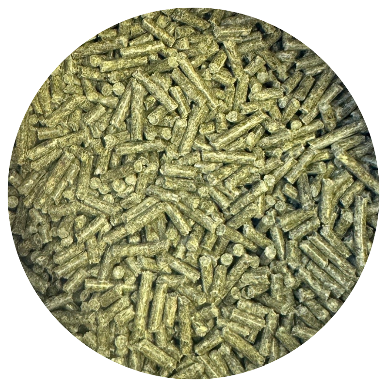 Nordic Horse Muscle Gain Pro