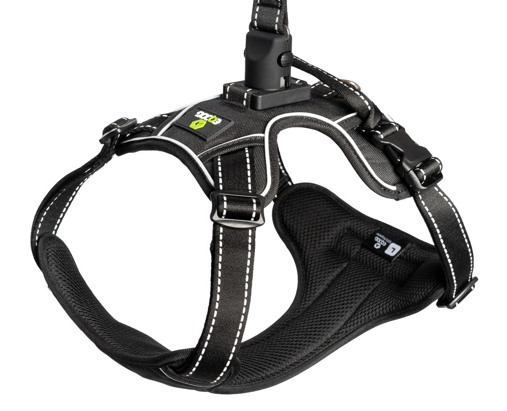 EQDOG Smart-Lock Sele & Line