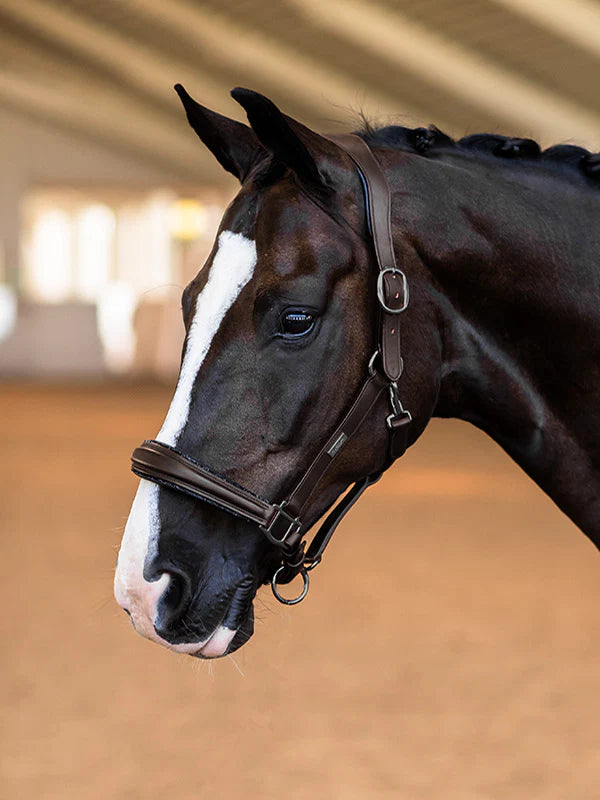 Equestrian Stockholm Anatomisk Leder Grime Med Glimmer