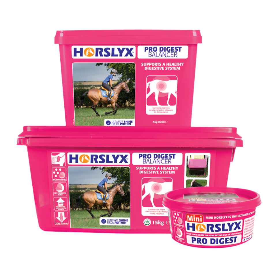 Horslyx sliksten