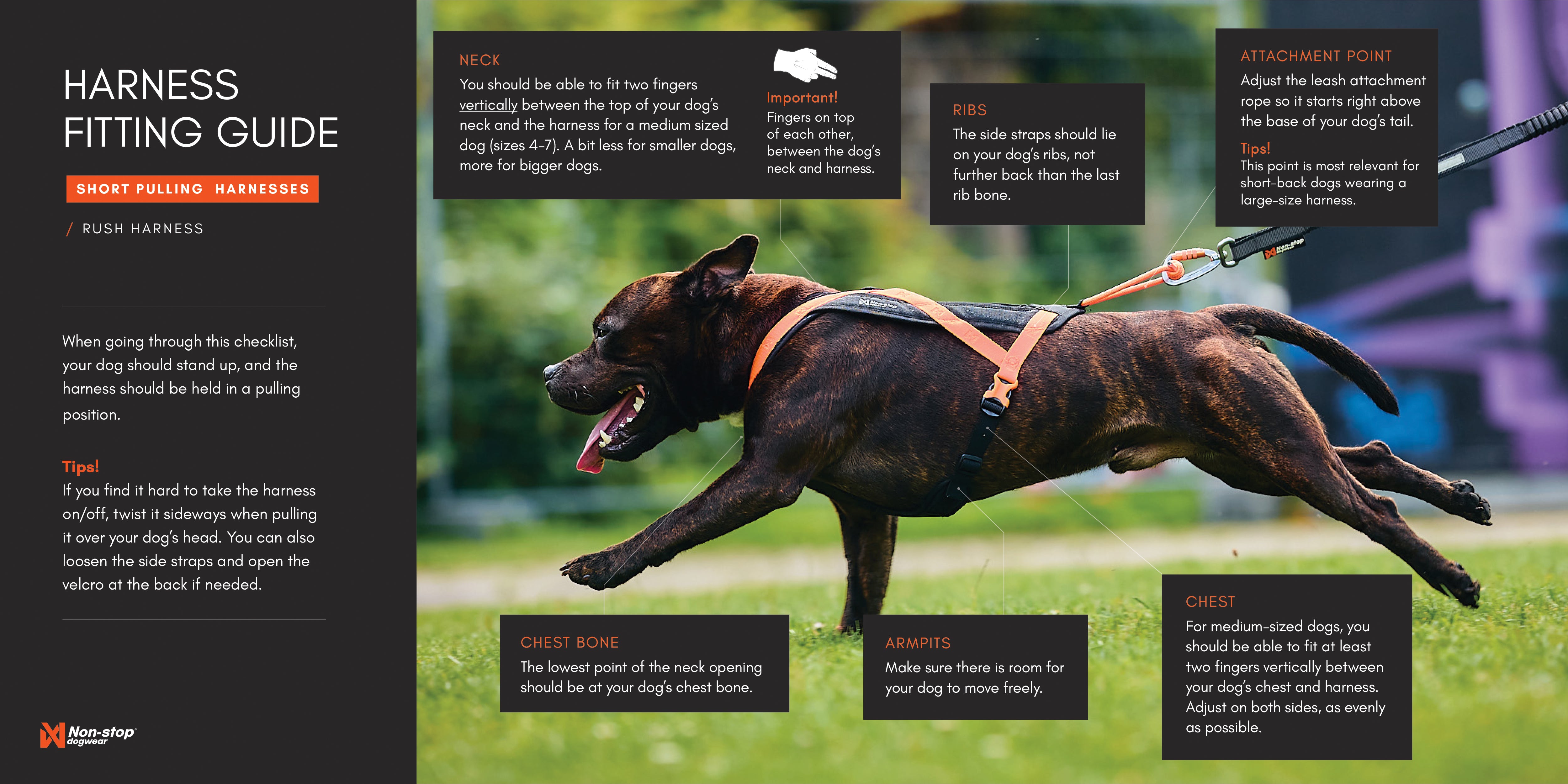 Non-Stop Dogwear Rush Sele